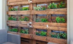 Un **jardín vertical con palets** crea un oasis verde. Plantas de colores vibrantes crecen en compartimentos de madera rústica, invitando a la relajación.