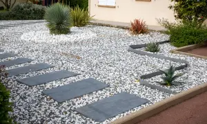Senderos de piedra gris cruzan jardines con piedras blancas y grises, destacando plantas suculentas y un gran cactus.