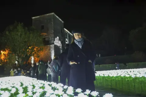 Mujer posa en un jardín infinito de luces blancas, con un edificio histórico al fondo.