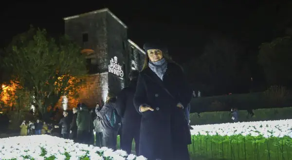 Mujer posa en un jardín infinito de luces blancas, con un edificio histórico al fondo.