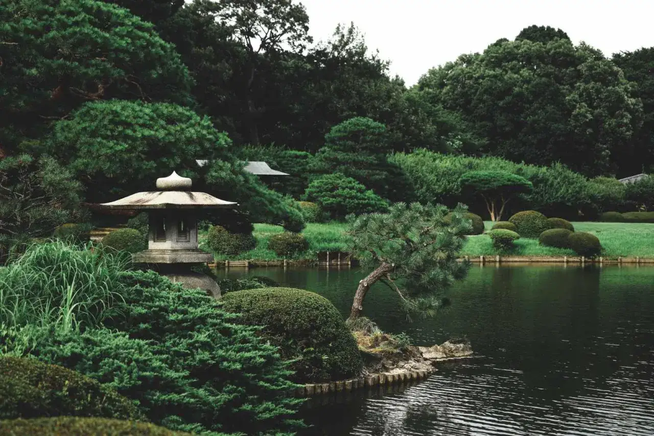 Un sereno jard&iacute;n zen japon&eacute;s con un estanque, linterna de piedra y &aacute;rboles podados.