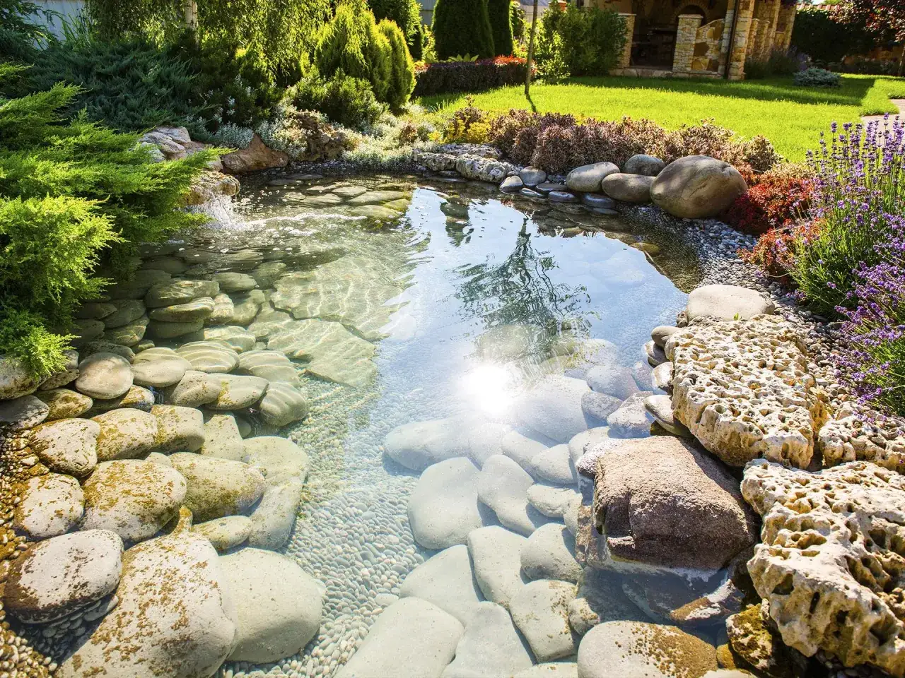 Un estanque jard&iacute;n casero con cascada, rocas y plantas exuberantes. El agua cristalina refleja el sol y el verde del entorno.