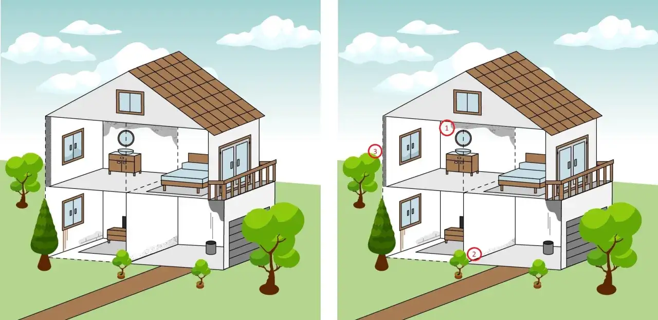 Ilustraci&oacute;n de una casa con moho en las paredes, indicando causas: 1) condensaci&oacute;n, 2) humedad del suelo, 3) filtraciones.