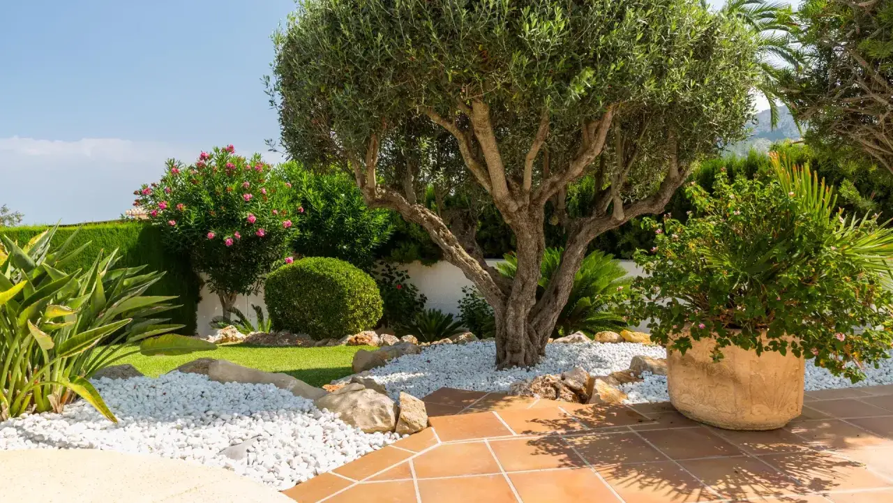 Un jard&iacute;n mediterr&aacute;neo con olivo centenario, flores rosas y un dise&ntilde;o de jardines peque&ntilde;os con grava blanca y terracota.