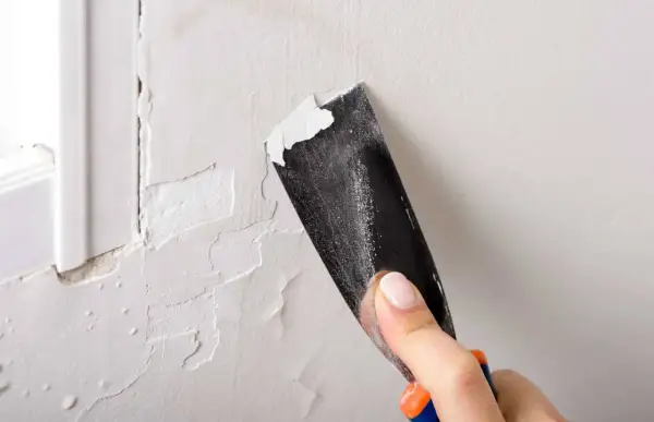 Raspando pintura descascarada de una pared. Un buen truco para pintar paredes es preparar la superficie.